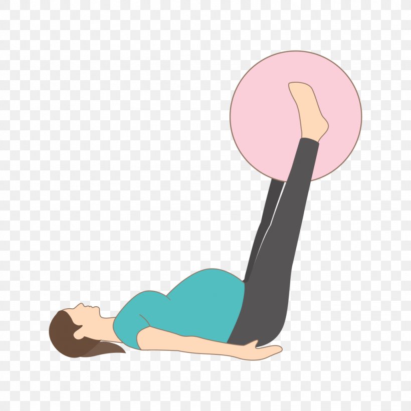 Total Gym Physical Fitness Exercise Balls Pilates, PNG, 1024x1024px, Watercolor, Cartoon, Flower, Frame, Heart Download Free