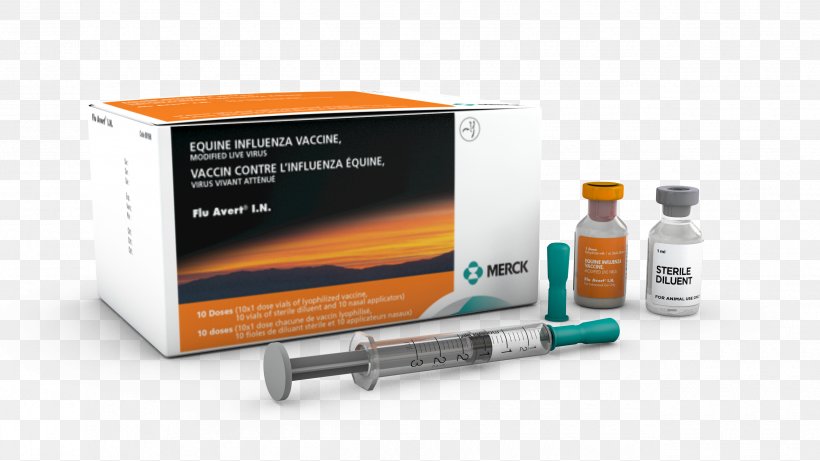 Horse Equine Influenza Influenza Vaccine, PNG, 2550x1434px, Horse, Disease, Equine Herpesvirus, Equine Influenza, Health Download Free