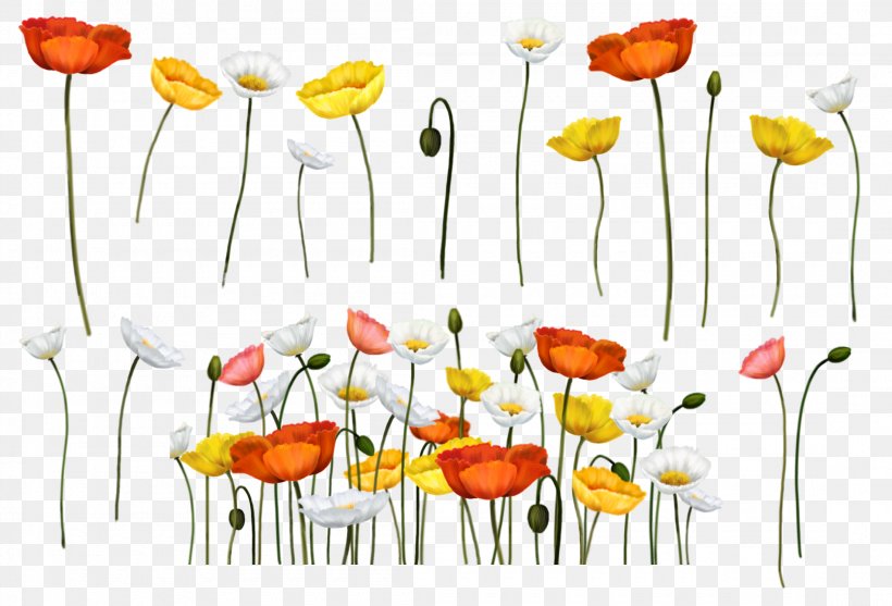 Poppy Flower Clip Art, PNG, 2200x1496px, Poppy, Blog, Centerblog, Common Poppy, Cut Flowers Download Free