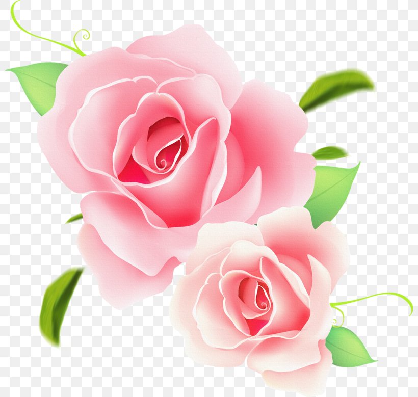 Rose Flower Clip Art, PNG, 800x779px, Rose, Art, Cut Flowers, Floral Design, Floribunda Download Free