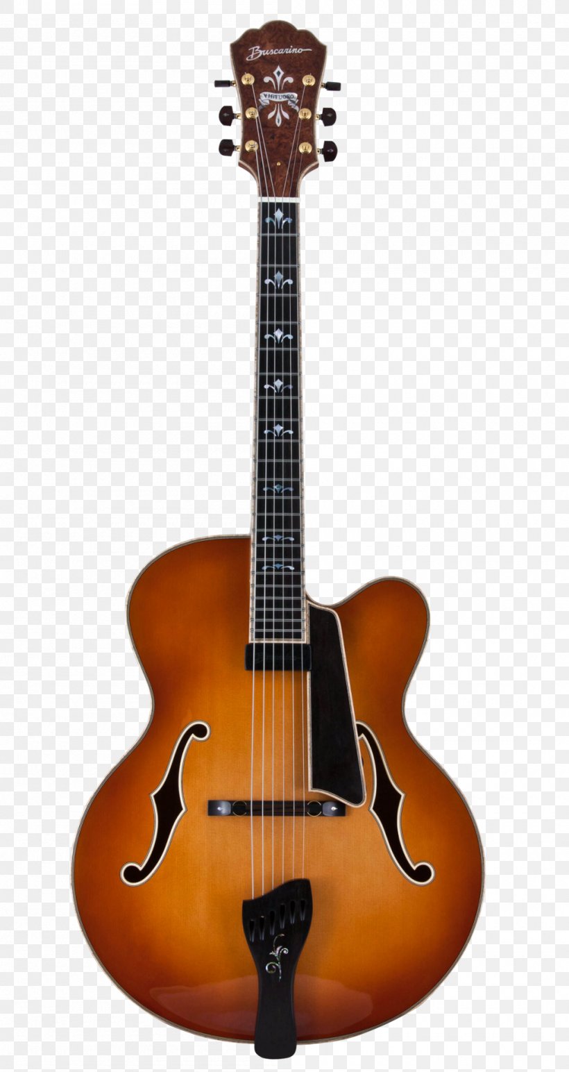 Twelve-string Guitar Takamine Guitars Electric Guitar Ovation Guitar Company, PNG, 1000x1883px, Twelvestring Guitar, Acoustic Electric Guitar, Acoustic Guitar, Acousticelectric Guitar, Bass Guitar Download Free