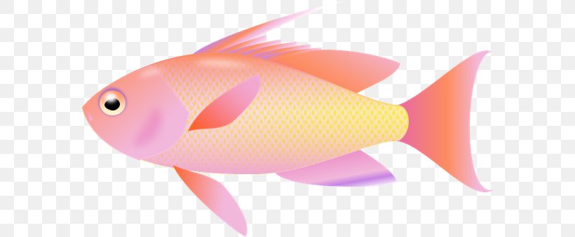 Desktop Wallpaper Fish Clip Art, PNG, 586x339px, Fish, Fin, Fishing, Goldfish, Marine Biology Download Free