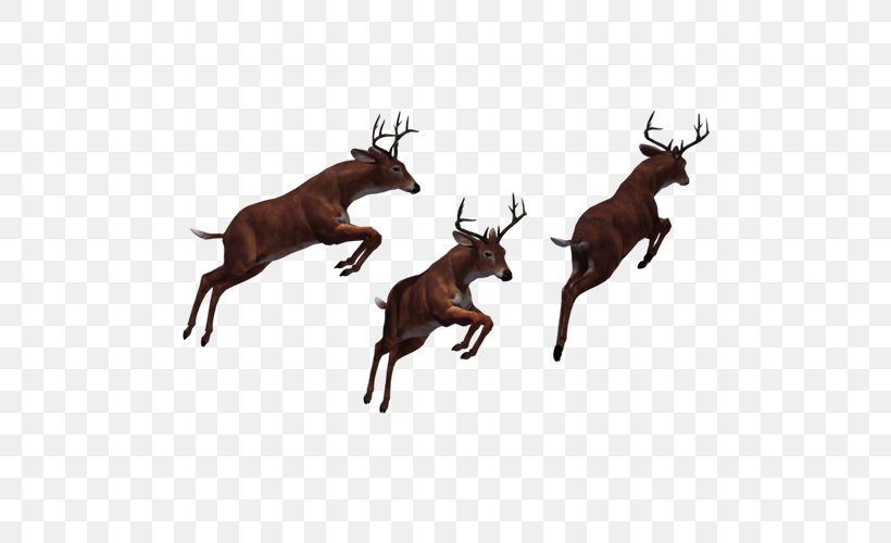 Reindeer Elk, PNG, 500x500px, 3d Computer Graphics, Reindeer, Animal, Antler, Cattle Like Mammal Download Free
