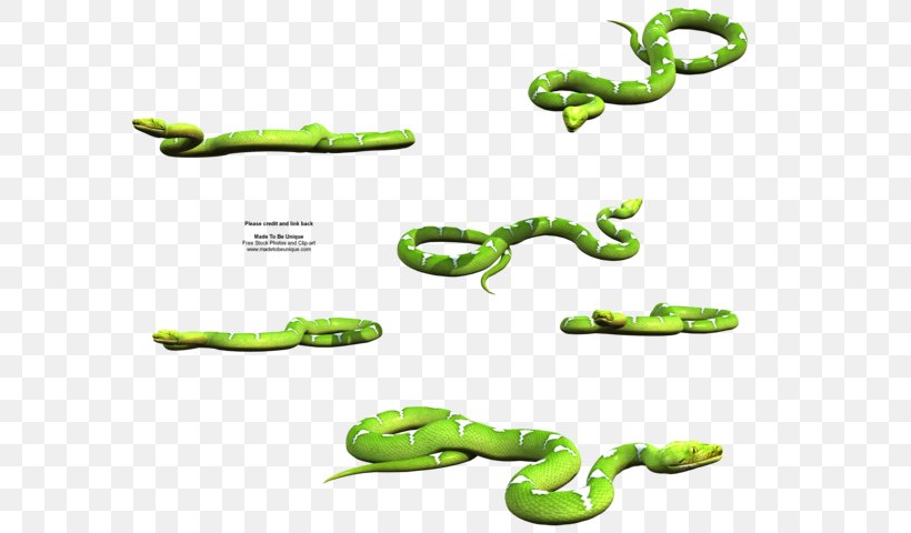 Snake Eastern Green Mamba Green Tree Python Reptile, PNG, 600x480px, Snake, Animal, Depositphotos, Eastern Green Mamba, Green Tree Python Download Free