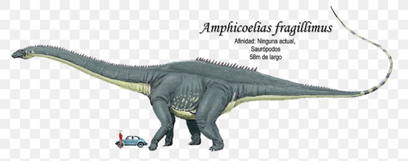 Amphicoelias Apatosaurus Brontosaurus Dinosaur Triceratops, PNG, 780x325px, Amphicoelias, Animal Figure, Apatosaurus, Argentinosaurus, Brontosaurus Download Free