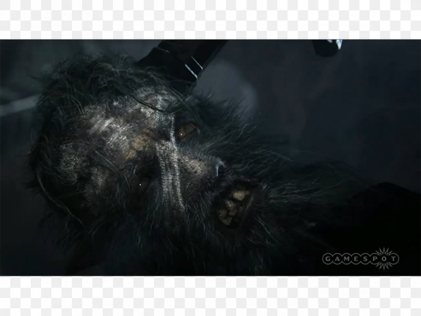 Bloodborne PlayStation 4 Electronic Entertainment Expo 2014 FromSoftware Video Game, PNG, 1170x878px, Bloodborne, Electronic Entertainment Expo, Electronic Entertainment Expo 2014, Fromsoftware, Ign Download Free
