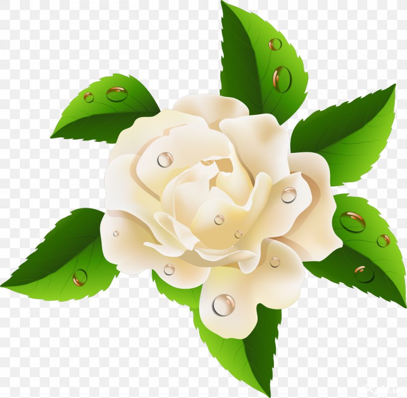 Flower Garden Roses Clip Art, PNG, 1000x979px, Flower, Blue Rose, Cut Flowers, Floral Design, Flower Bouquet Download Free