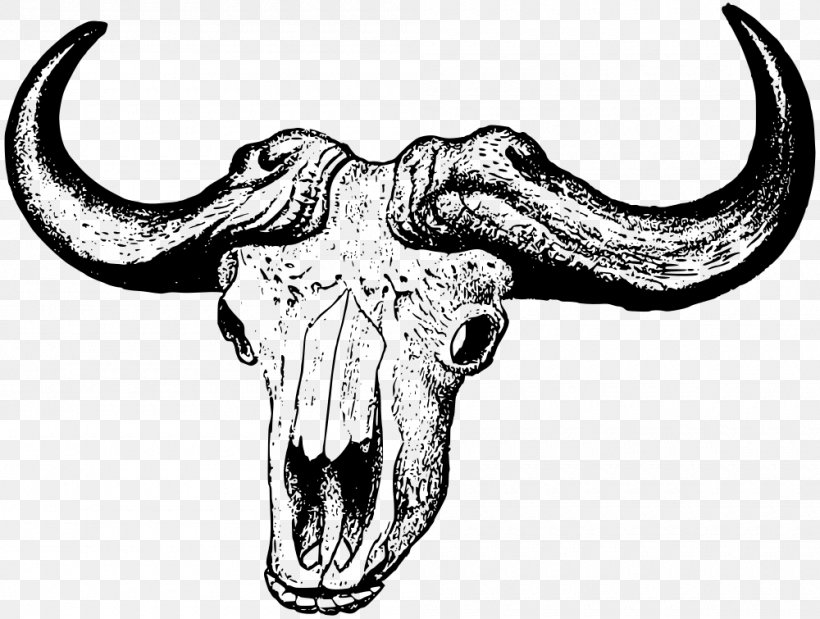 African Buffalo Skull Cattle American Bison Clip Art, PNG, 1000x755px, African Buffalo, American Bison, Bison, Black And White, Bone Download Free