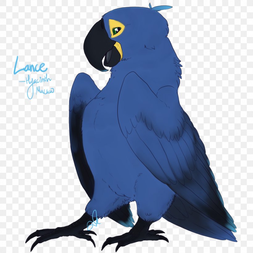 Macaw Parakeet Beak Cobalt Blue Feather, PNG, 1024x1024px, Macaw, Beak, Bird, Blue, Cobalt Download Free