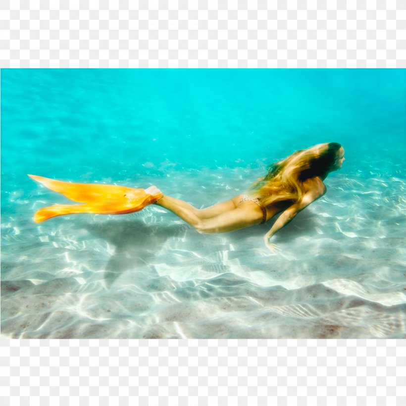 Mermaiding Diving & Swimming Fins Marine Biology, PNG, 1000x1000px, Mermaiding, Adult, Child, Diving Swimming Fins, Fauna Download Free