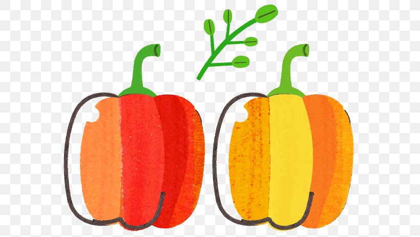 Pumpkin LINE Cuisine Illustration, PNG, 600x463px, Pumpkin, Apple, Bell Pepper, Bell Peppers And Chili Peppers, Calabaza Download Free