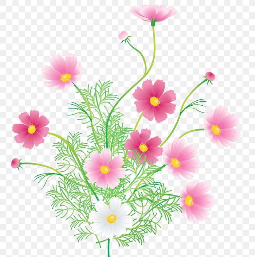 Argyranthemum Frutescens Floral Design Roman Chamomile Wildflower Herbaceous Plant, PNG, 785x827px, Argyranthemum Frutescens, Annual Plant, Chamaemelum, Chamaemelum Nobile, Cosmos Download Free