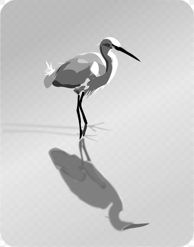 Bird Heron Clip Art, PNG, 1878x2400px, Bird, African Spoonbill, Beak, Black And White, Cattle Egret Download Free