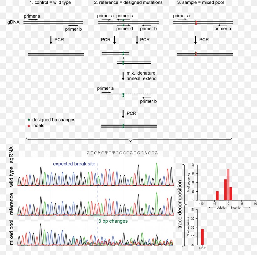 Indel CRISPR Template Résumé Nucleic Acid Sequence, PNG, 2369x2351px, Indel, Analysis, Area, Crispr, Diagram Download Free