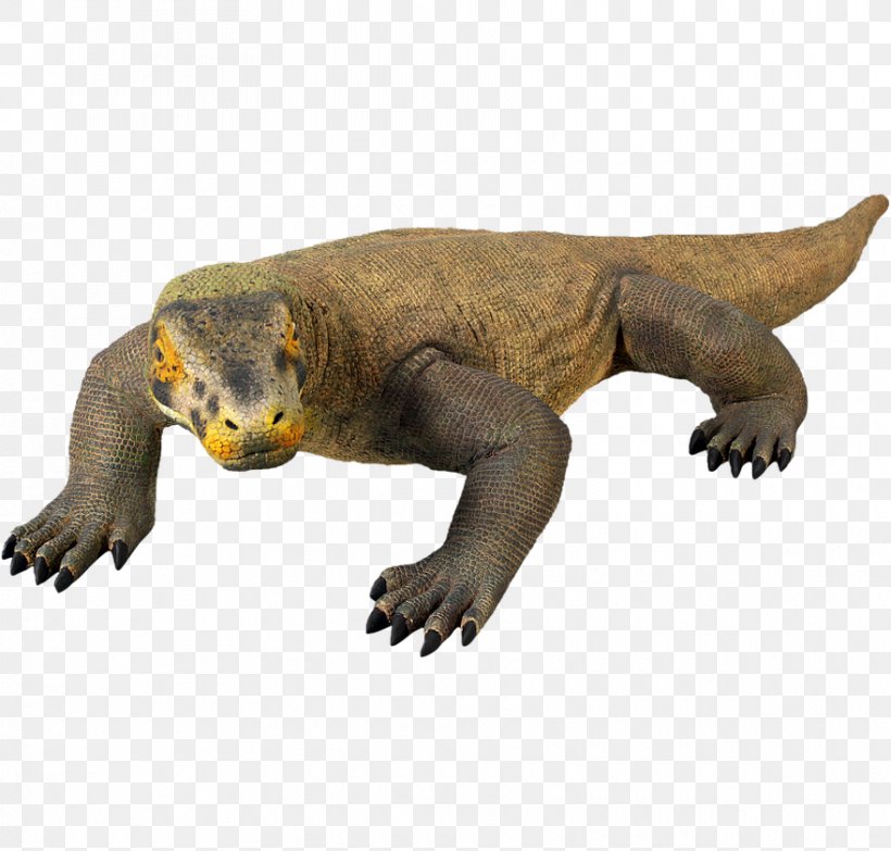 Komodo Dragon Reptile Lizard, PNG, 880x841px, Komodo Dragon, Animal, Animal Figure, Carnivoran, Dragon Download Free