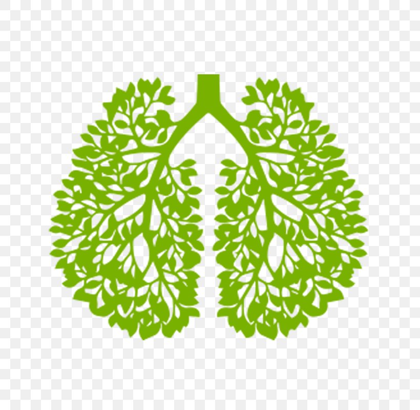 Lung Cancer HealthyWomen, PNG, 800x800px, Lung, Disease, Grass, Green, Health Download Free