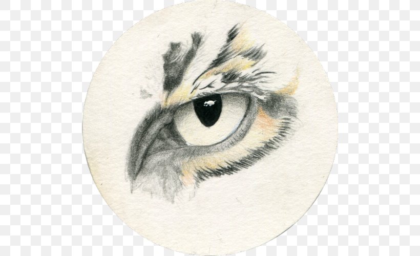 Owl Drawing Realism Sketch, PNG, 500x500px, Owl, Animal, Beak, Bird, Bird Of Prey Download Free
