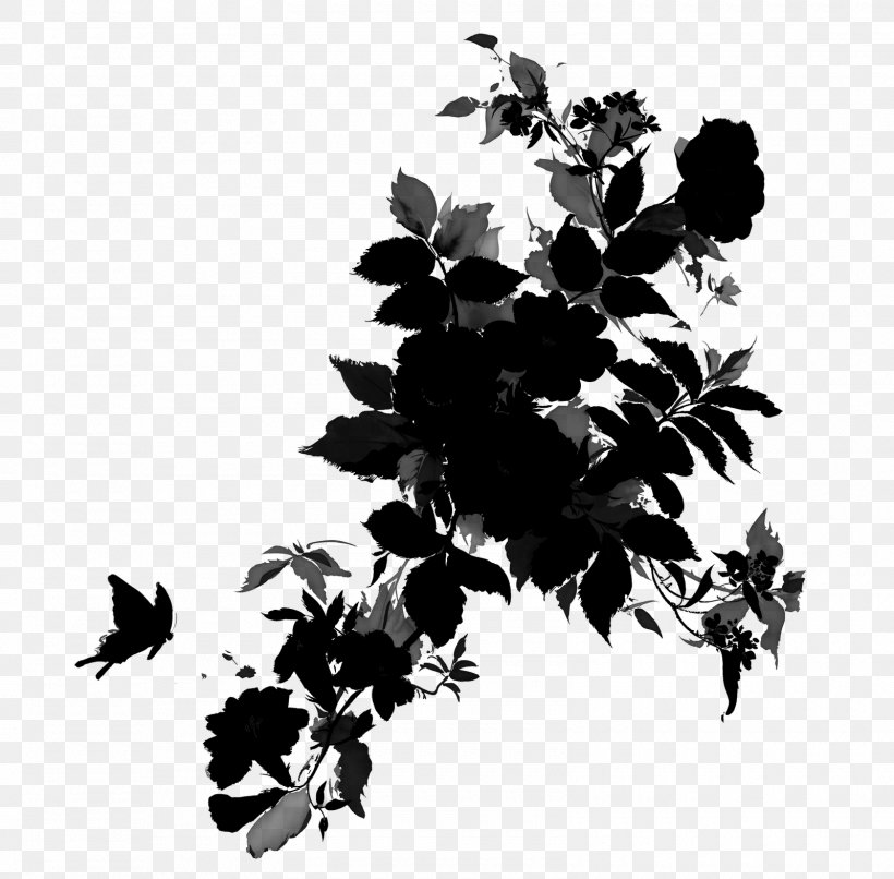 Black & White, PNG, 1600x1573px, Black White M, Blackandwhite, Botany, Branch, Flower Download Free