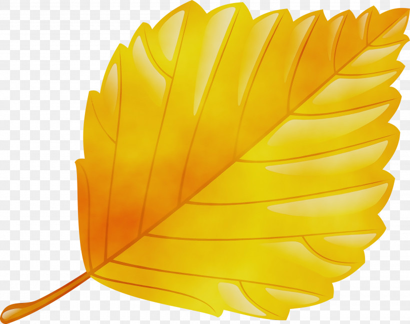 Feather, PNG, 3000x2369px, Watercolor, Feather, Leaf, Paint, Plant Download Free