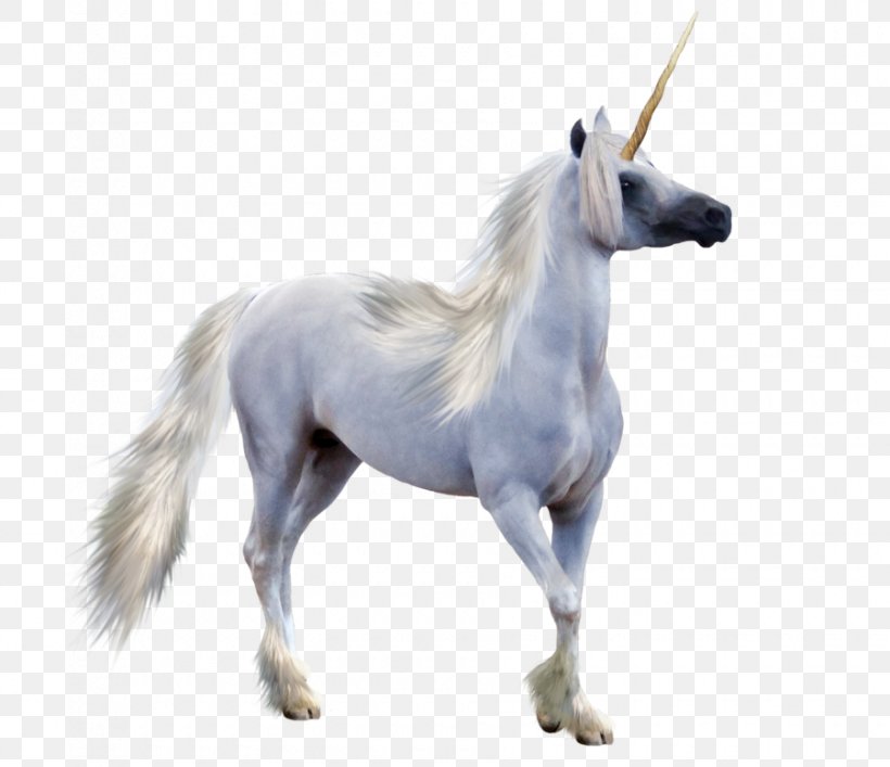 Winged Unicorn Pegasus, PNG, 900x776px, Unicorn, Deviantart, Fictional Character, Horse, Horse Like Mammal Download Free