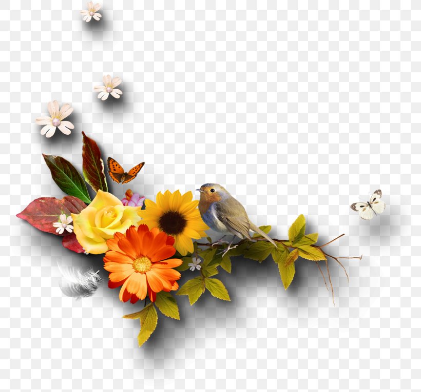 Autumn Clip Art, PNG, 800x765px, Autumn, Akhir Pekan, Cut Flowers, Daisy, Flora Download Free