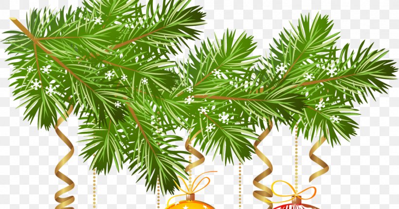 Christmas Ornament Ded Moroz Snegurochka New Year Tree, PNG, 1128x592px, Christmas Ornament, Arecales, Borassus Flabellifer, Branch, Christmas Download Free