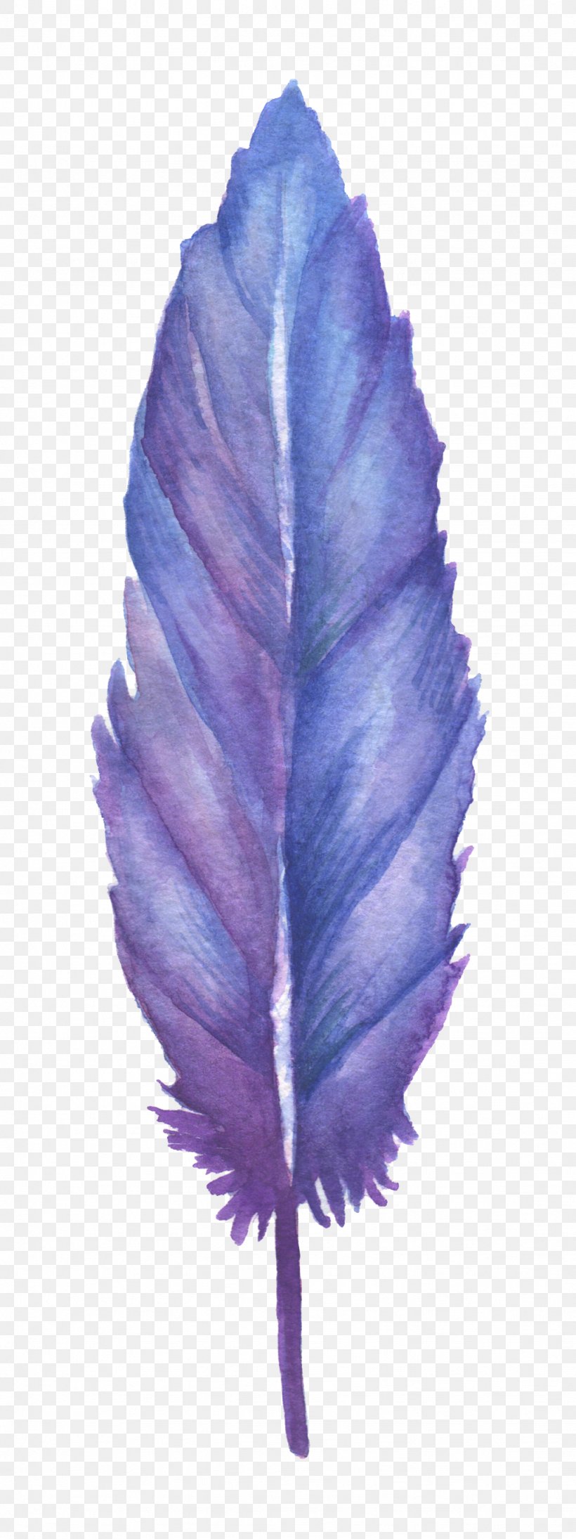 Feather Blue Drawing, PNG, 1024x2736px, Feather, Blue, Color, Drawing, Flower Download Free