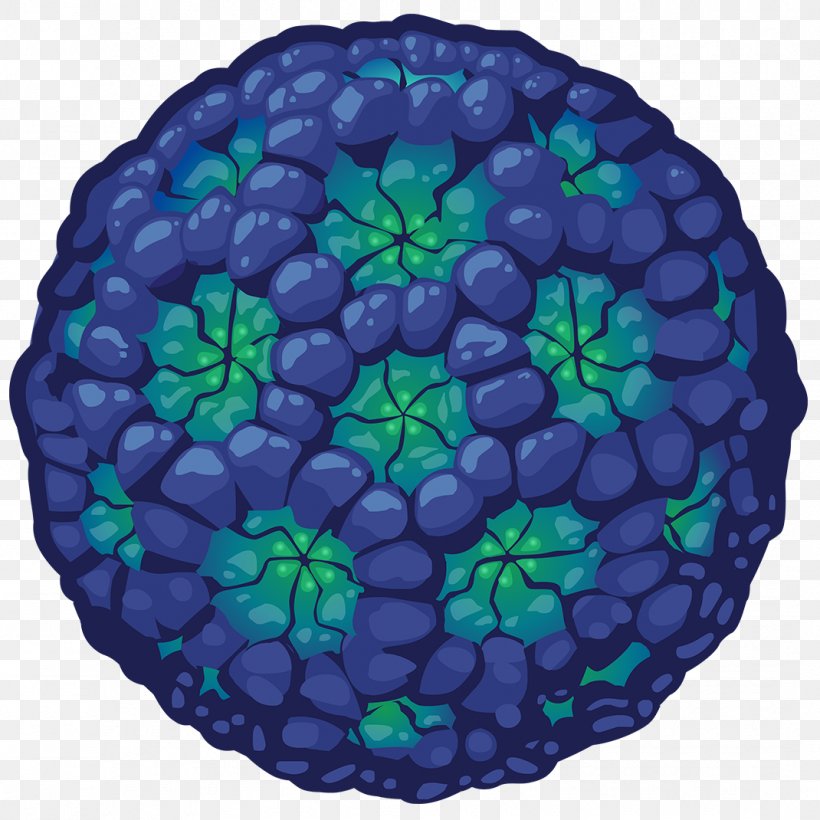 Norovirus Gastroenteritis Infection Disease, PNG, 1070x1070px, Norovirus Gastroenteritis, Cobalt Blue, Diarrhea, Disease, Food Download Free