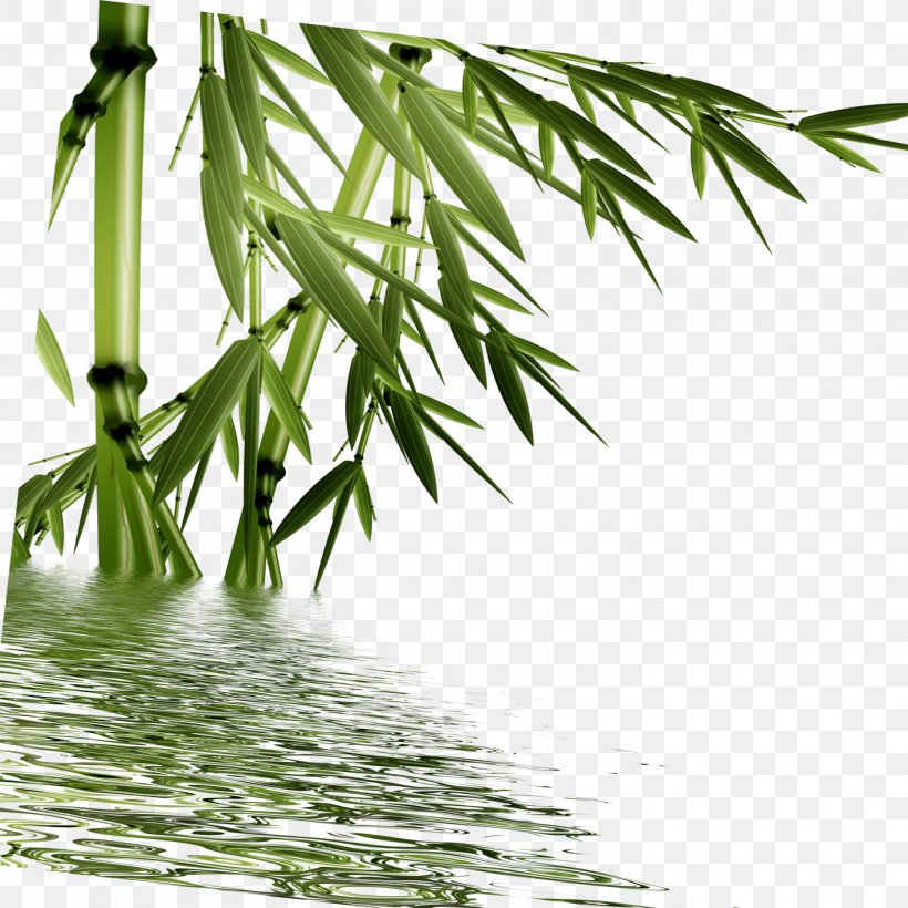 Bamboo Digital Watermarking, PNG, 1417x1417px, Bamboo, Branch, Designer, Digital Watermarking, Fengzhu Download Free