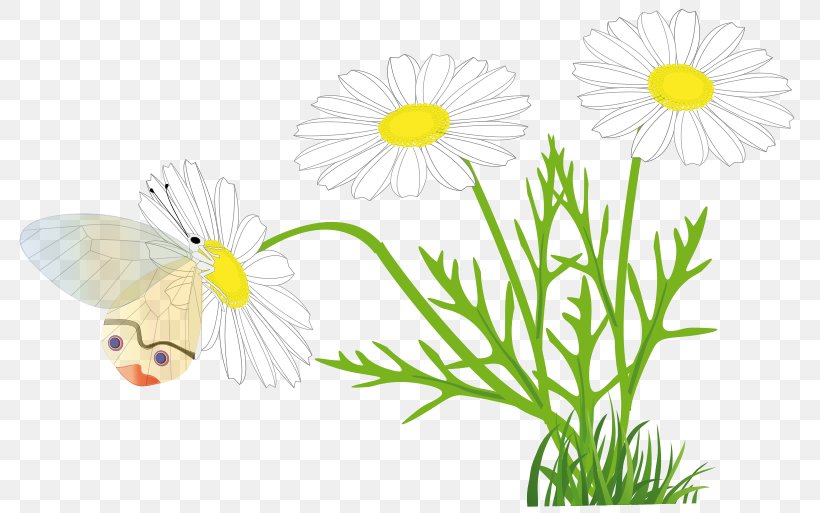 Clip Art, PNG, 800x513px, Common Daisy, Artwork, Blog, Butterfly, Chamaemelum Nobile Download Free
