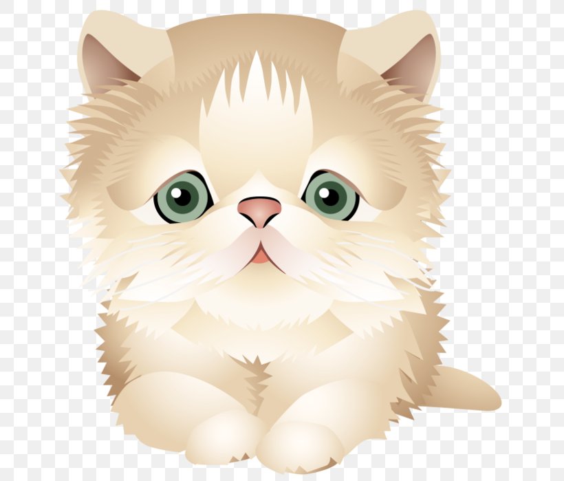 Exotic Shorthair Persian Cat Kitten British Shorthair Clip Art, PNG, 666x699px, Exotic Shorthair, Animal, Black Cat, British Shorthair, Carnivoran Download Free