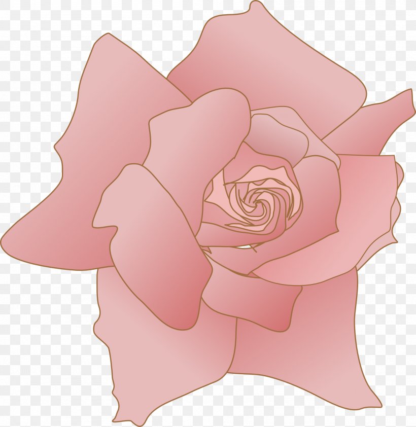 Garden Roses Drawing Cabbage Rose Clip Art, PNG, 1869x1920px, Garden Roses, Art, Cabbage Rose, Cut Flowers, Drawing Download Free