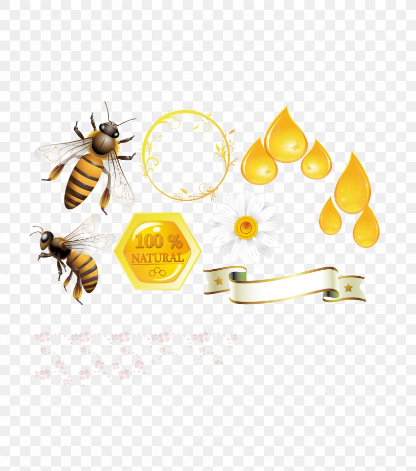 Honey Bee Beehive, PNG, 3000x3400px, Bee, Arthropod, Beehive, Bumblebee, Honey Download Free