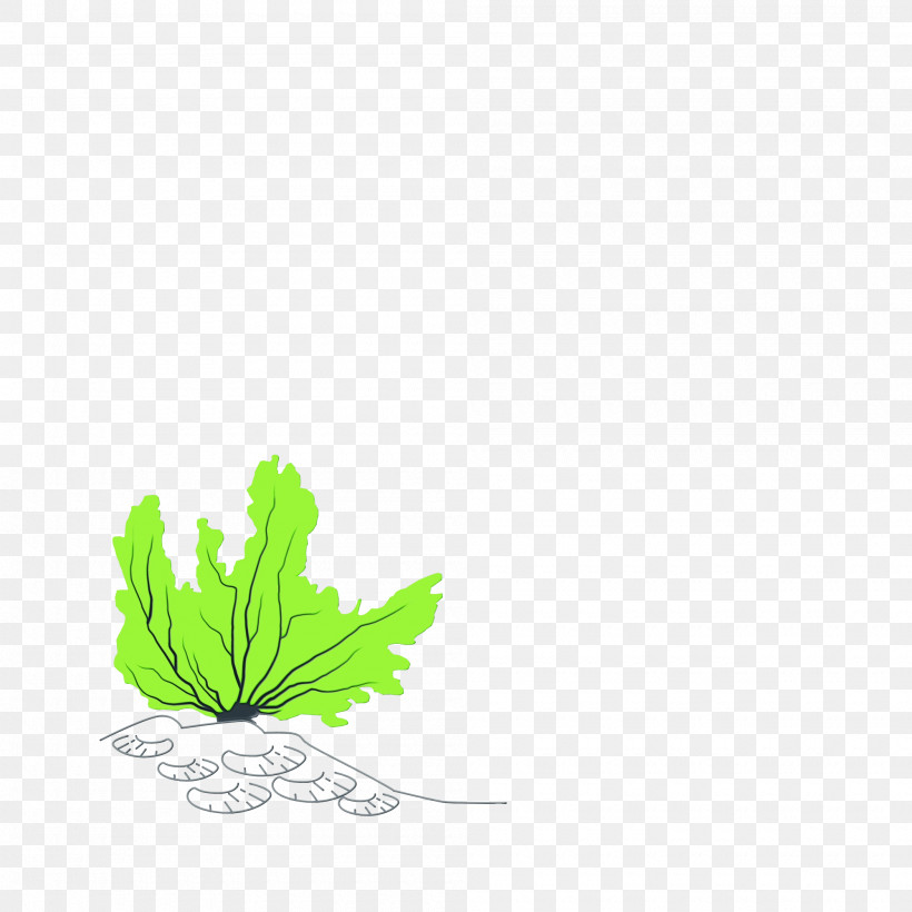 Leaf Plant Stem Tree Green Meter, PNG, 2000x2000px, Watercolor, Biology, Green, Herb, Leaf Download Free
