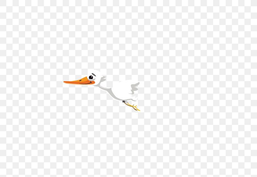 Beak Duck Bird Cygnini Goose, PNG, 567x567px, Beak, Anatidae, Bird, Cygnini, Duck Download Free
