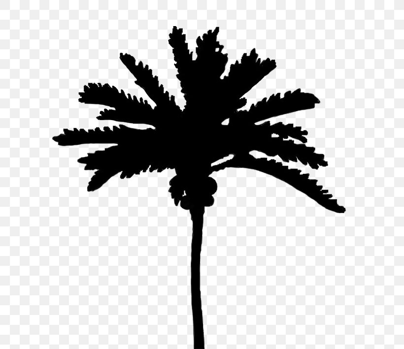 Arecaceae Silhouette Tree Clip Art, PNG, 610x709px, Arecaceae, Arecales, Art, Black And White, Branch Download Free