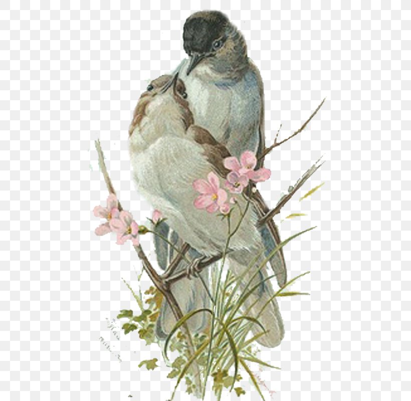 Bird Paper Swallow, PNG, 800x800px, Bird, Animal, Bird Flight, Bird Nest, Branch Download Free