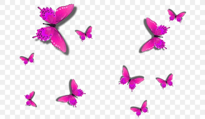 Butterfly Painting Wall Decal, PNG, 686x477px, Butterfly, Bedroom, Butterflies And Moths, Color, Flower Download Free