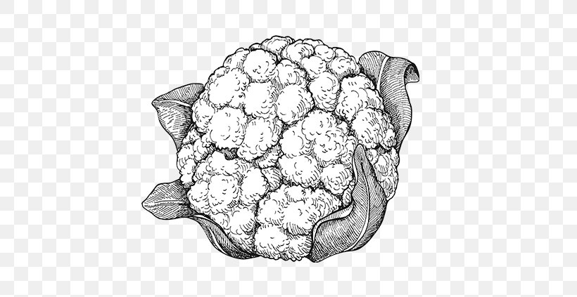 Drawing Vegetarian Cuisine Cauliflower Vegetable, PNG, 800x423px, Watercolor, Cartoon, Flower, Frame, Heart Download Free