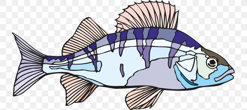 Fish Fish Clip Art Perch Fish Products, PNG, 739x365px, Fish, Bass, Bonyfish, Fin, Fish Products Download Free
