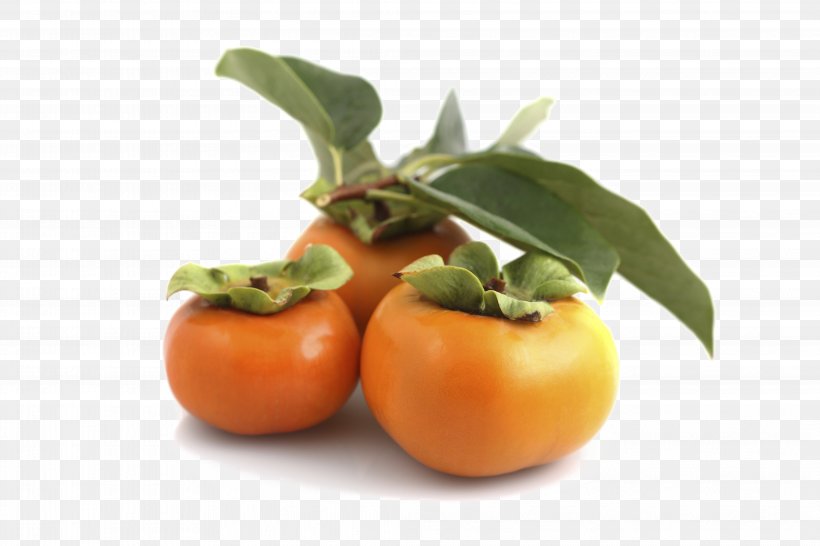 Japanese Persimmon Food Fruit Tree, PNG, 4137x2758px, Japanese Persimmon, Bush Tomato, Citrus, Clementine, Diet Download Free
