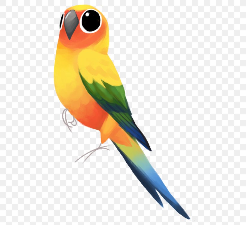 Lovebird Macaw Parakeet Feather Beak, PNG, 500x750px, Lovebird, Beak, Bird, Common Pet Parakeet, Feather Download Free
