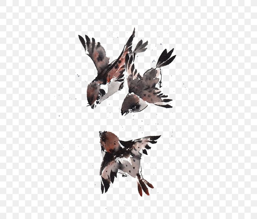Sparrow Bird Watercolor Painting, PNG, 499x700px, Sparrow, Beak, Bird, Brush, Buzzard Download Free