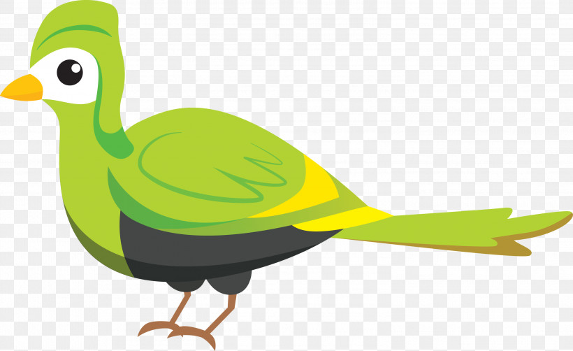 Feather, PNG, 2999x1839px, Bird Cartoon, Beak, Birds, Birds Wing, Bluebirds Download Free