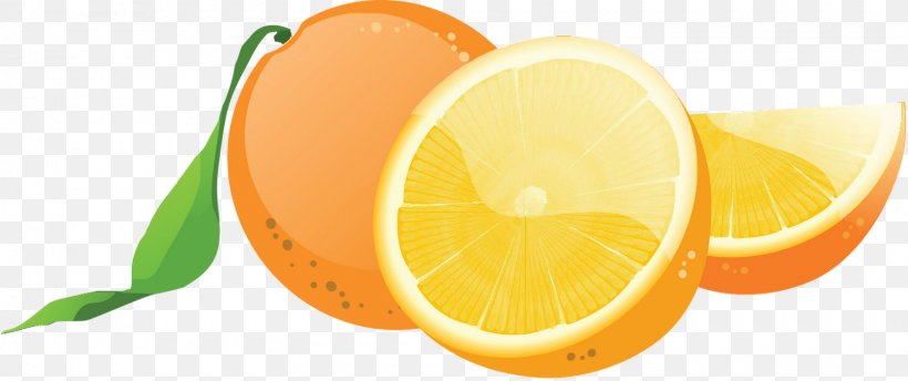 Fruit Logo, PNG, 1600x673px, Fruit, Art, Citric Acid, Citrus, Diet Food Download Free