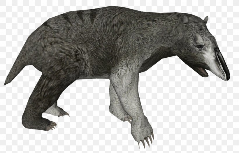 Mammal Animal Bear Canidae Dog, PNG, 976x627px, Mammal, Animal, Animal Figure, Baleen Whale, Bear Download Free