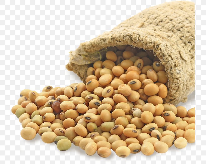 Soybean Food Price United States Dollar Bushel, PNG, 732x654px, Soybean, Bean, Broad Bean, Bushel, Commodity Download Free