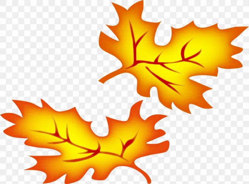Autumn Leaf Color Clip Art, PNG, 830x617px, Autumn, Autumn Leaf Color, Color, Drawing, Flowering Plant Download Free