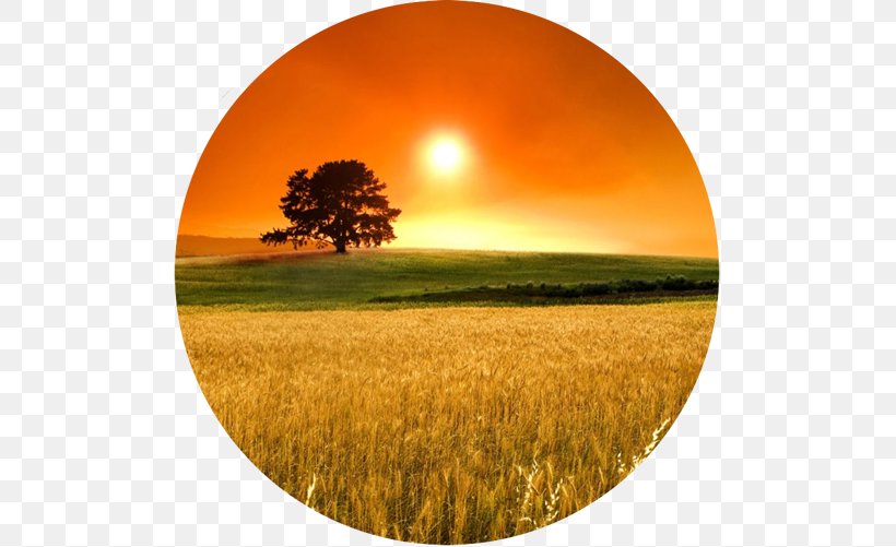 Desktop Wallpaper Sunset Morning Daytime Horizon, PNG, 501x501px, Sunset, Commodity, Crop, Dawn, Daytime Download Free