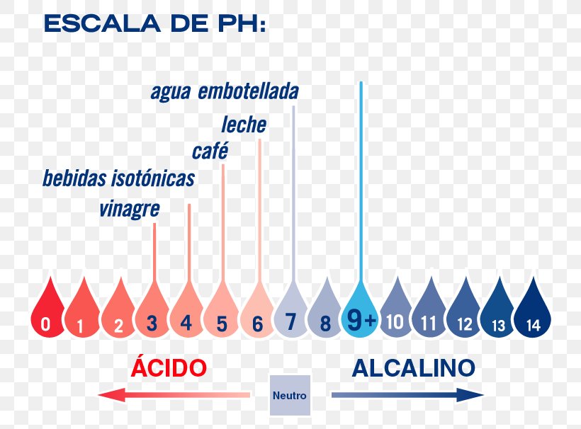 PH Water Alkalinity Acid Cultivo, PNG, 800x606px, Water, Acid, Alkali, Alkalinity, Area Download Free